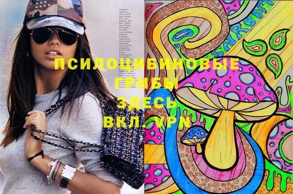 сатива Балабаново