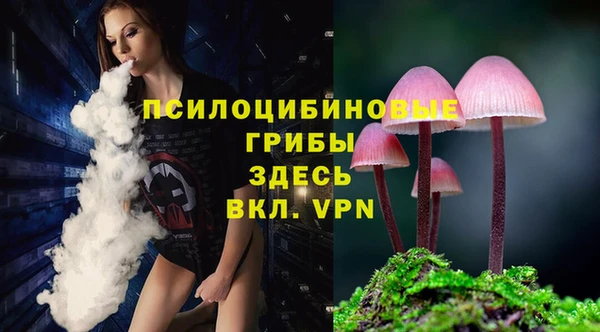 ECSTASY Аркадак