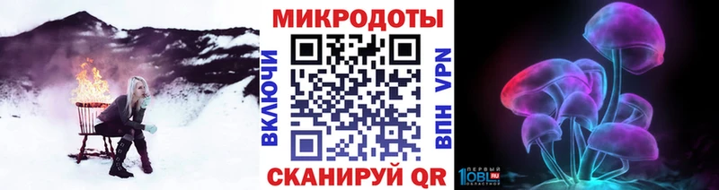где купить   Пикалёво  Галлюциногенные грибы Psilocybe 
